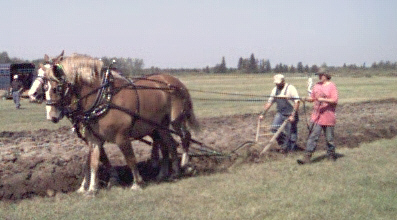 fielddaybrandonvickyplow.jpg